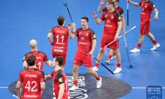 九游娱乐网站-关于瑞士球员展示领袖气质，稳健演绎胜利之路的信息