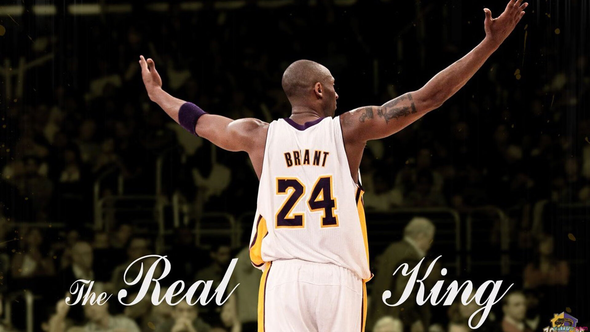 北欧神话再临,挪威终场绝杀,欧冠焦点战上演冰与火之歌